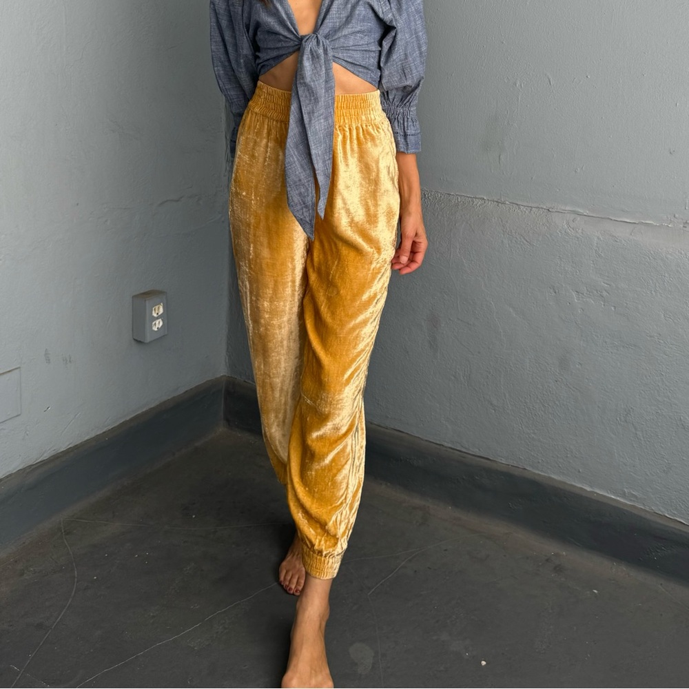 Nicoblu Emma Velvet Harem Jogger Pant, Gold, High Waist, Medium